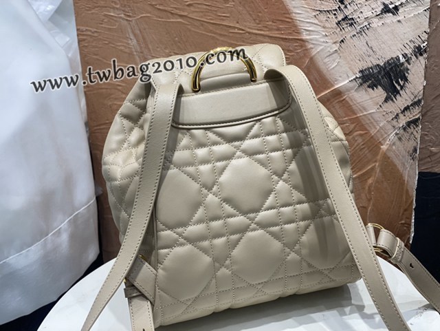 Dior专柜2025早春新款迪奥高仿原单大号Caro双肩背包女士后背包 djfk1819